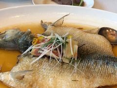 鲥鱼-扬州香格里拉·香宫中餐厅