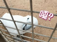 -南宫五洲植物乐园