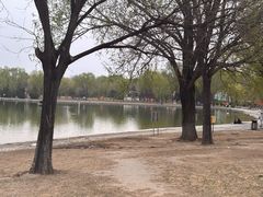 -太阳宫公园