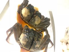 -宏玲餐厅(四川南路店)