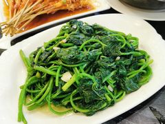 蒜蓉番薯叶-美极鲜食坊(宝安南路店)