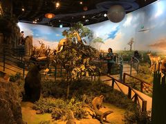 -陕西自然博物馆