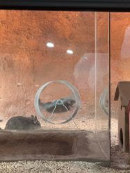 -酷嗒动物文化乐园(cutezoo西溪乐天城店)