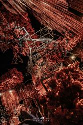 -三色锦婚礼定制