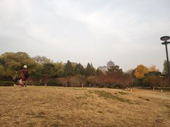 -莲花池公园