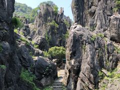 -玉石林风景区