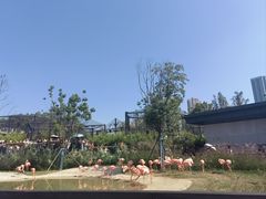 -武汉动物园