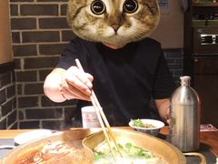-来涮蜀鲜货火锅串串香(菜市口店)