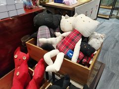 -猫咪博物馆(顶澳仔猫街店)