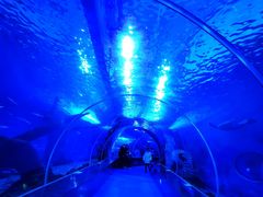 -多彩贵州城极地海洋世界