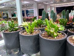 -KKV(深圳宏发大仟里店)