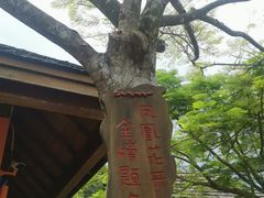 -亚龙湾热带天堂森林公园