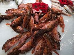 -鱼篮仔·潮汕美食(圆明新园店)