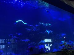 -暹罗酒肆泰餐厅酒吧