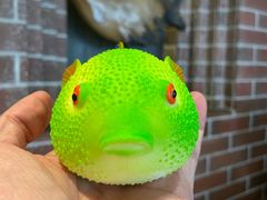 -永安鱼庄·镇江菜(东吴路店)