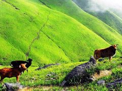 -萍乡武功山风景名胜区