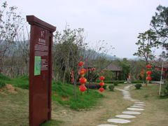 景点-天适樱花悠乐园