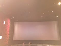 -成都百丽宫影城(LUXE太古里店)