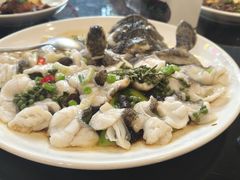 鲜花椒蒸龙趸鱼-任兴记(定西路店)