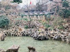 -伯先公园