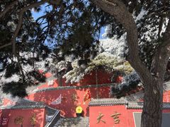 -妙峰山风景名胜区