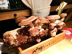 -大头椰·椰子鸡火锅(南宁万象城店)