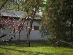 -玲珑塔公园