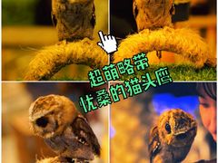 -清迈夜间动物园