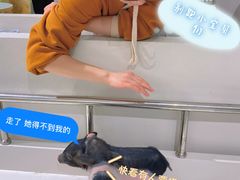 -怪兽屋·羊驼·猫咖·狗咖(俊华广场店)