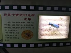 -上海昆虫博物馆