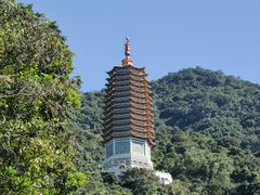 -深圳仙湖植物园