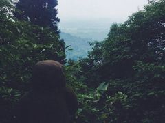 新津老君山-成都老君山