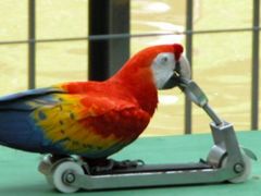 -吉隆坡雀鸟公园