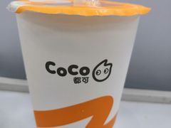 -CoCo都可(骆家庄新店)