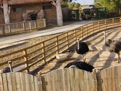 -鄂尔多斯野生动物园