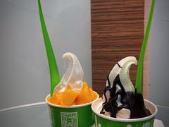 -Salud撒露欧洲冻酸奶(蓝色港湾店)