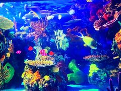 -北戴河圣蓝海洋公园