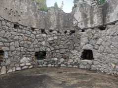 -原山国家森林公园