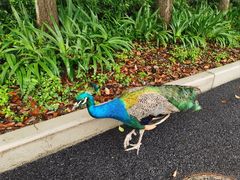 -金庭庄园酒店-停车场