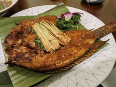 -紫滇源云南生态菜(丹凤街店)