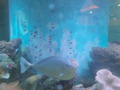 -碧中海汤泉汗蒸酒店