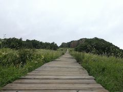 -白草畔自然风景区