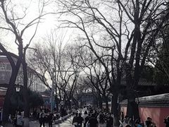 -北京国子监胡同