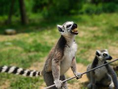 -杭州野生动物世界