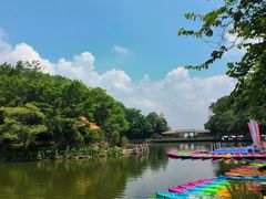 -广州市帽峰山景区