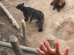 -泉州海丝野生动物世界