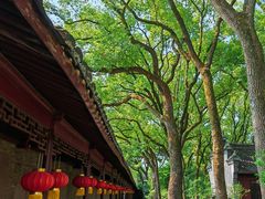 -天一阁博物院