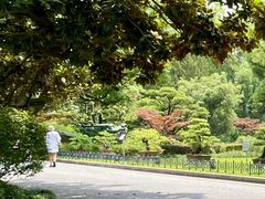 -申粤轩酒楼·三十年粤菜经典(丁香花园店)