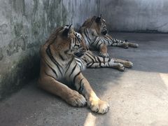 -南昌动物园