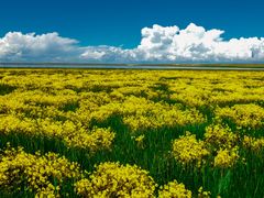 -青海湖国家重点风景名胜区